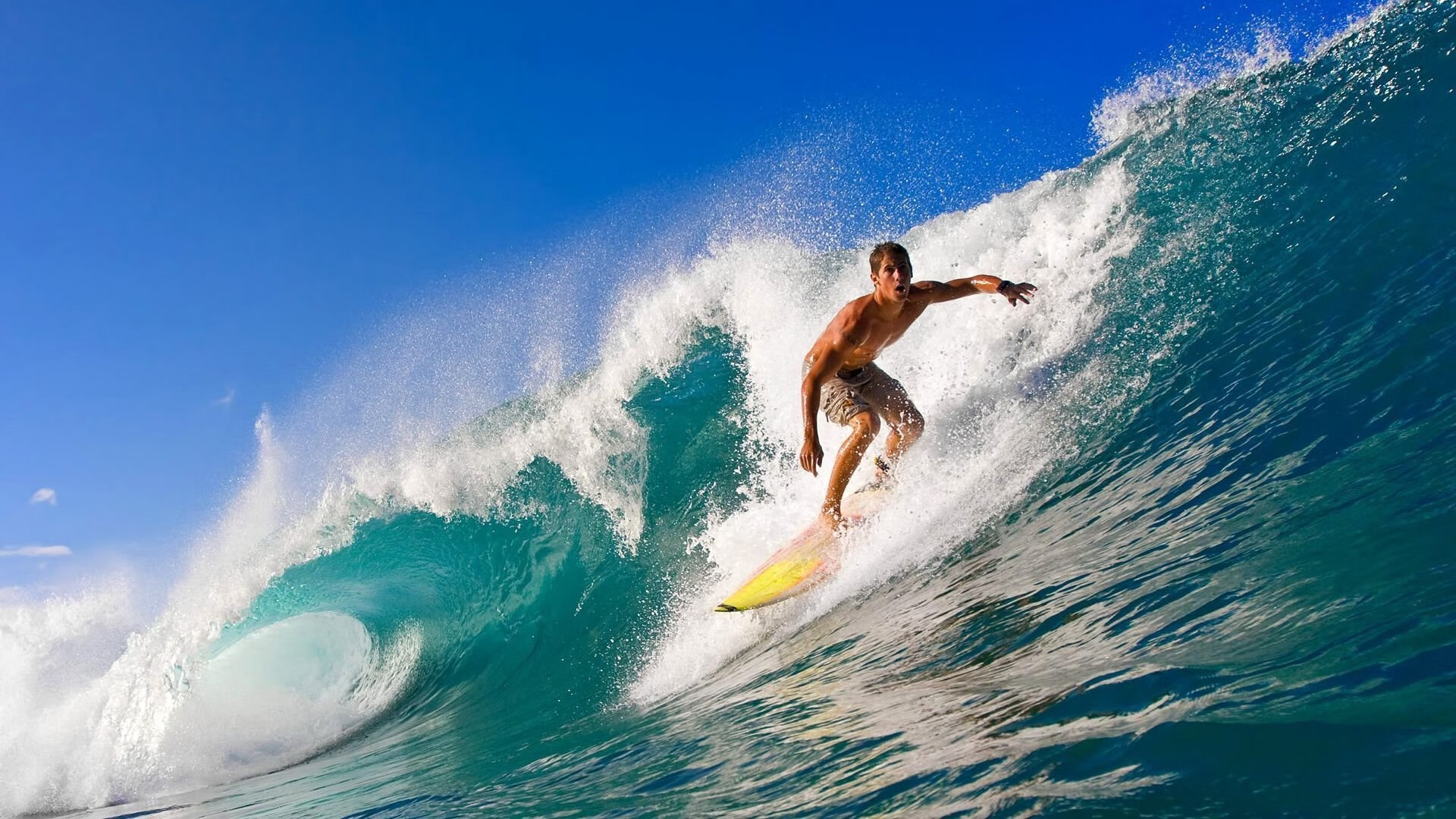 赛场“激情燃烧”_欧冠夜晚的难忘瞬间，欧冠精彩片段